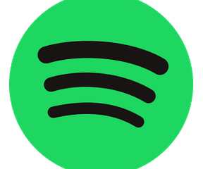 Spotify fav playlist